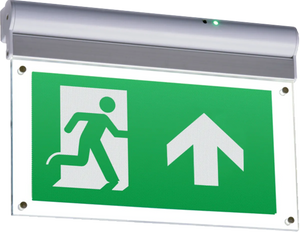 All Emergency Exit Lighting and Signs