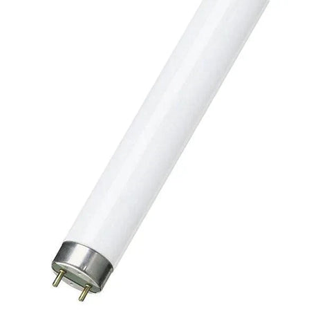 Blacklight T8 UV Tubes - First Light Direct - Light Fittings and LED Light Bulbs