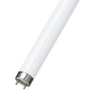 Blacklight T8 UV Tubes