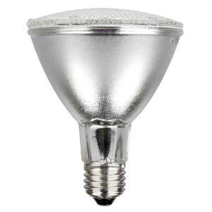 Ceramic Metal Halide Par30