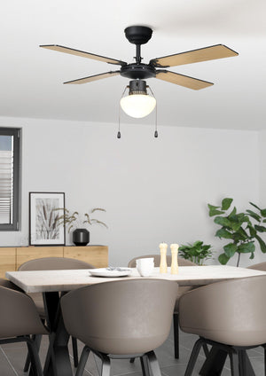 EGLO Ceiling Fan & Light