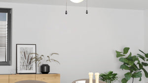 EGLO Ceiling Fan & Light