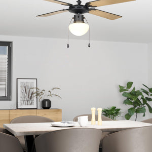 EGLO Ceiling Fan & Light