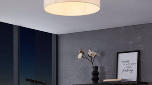 EGLO Ceiling Light