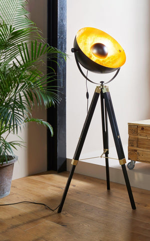 EGLO Floor Light