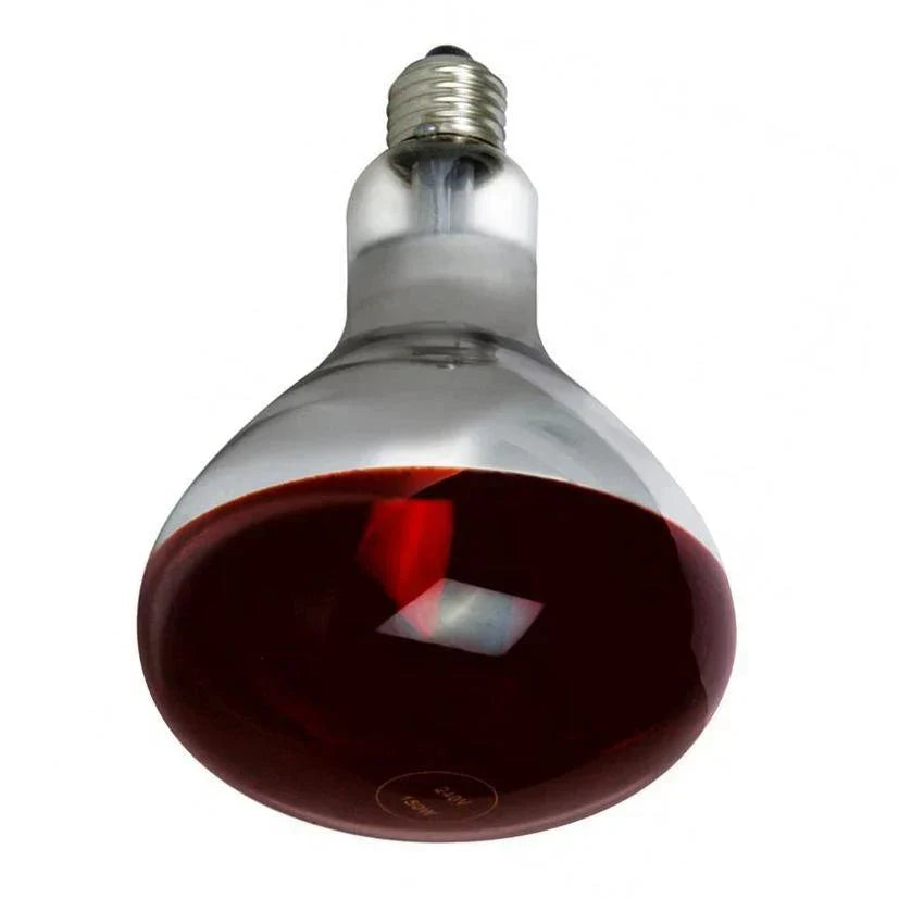 Infra-Red Heat Lamps - First Light Direct - Light Fittings and LED Light Bulbs