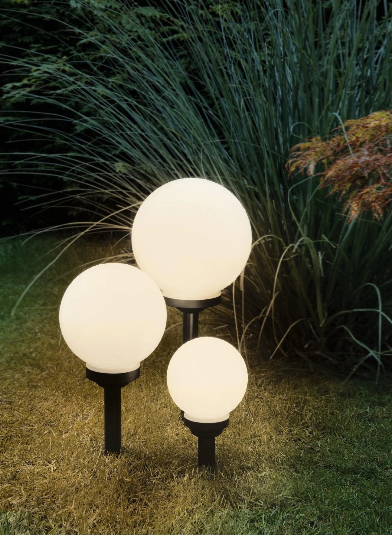 Outdoor Solar Lights