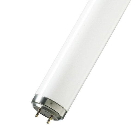 T12 Fluorescent Tubes - First Light Direct - Light Fittings and LED Light Bulbs