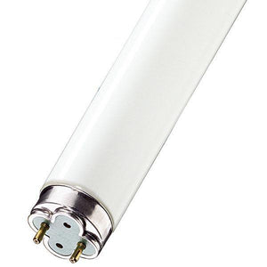 T8 Standard Fluorescent Tubes