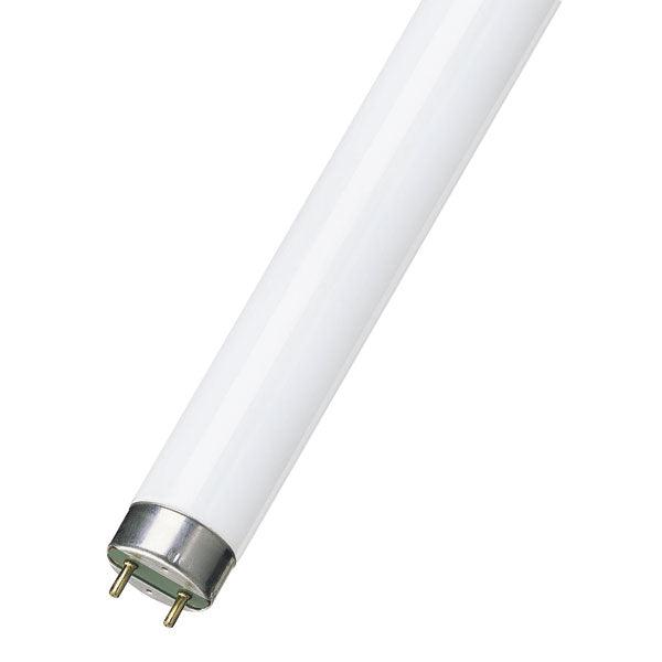 British Electric Lamps Limited - FL-CP-F36T8/84 BEL - British Electric Lamps Limited 5561 F36T8 4' 36W 4000K 1200mm Cool White EAN - 5013588055619