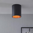 EGLO - 94501 - Ceiling Light