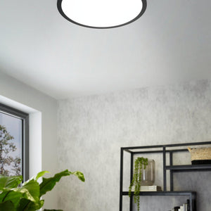 EGLO Wall/Ceiling Light