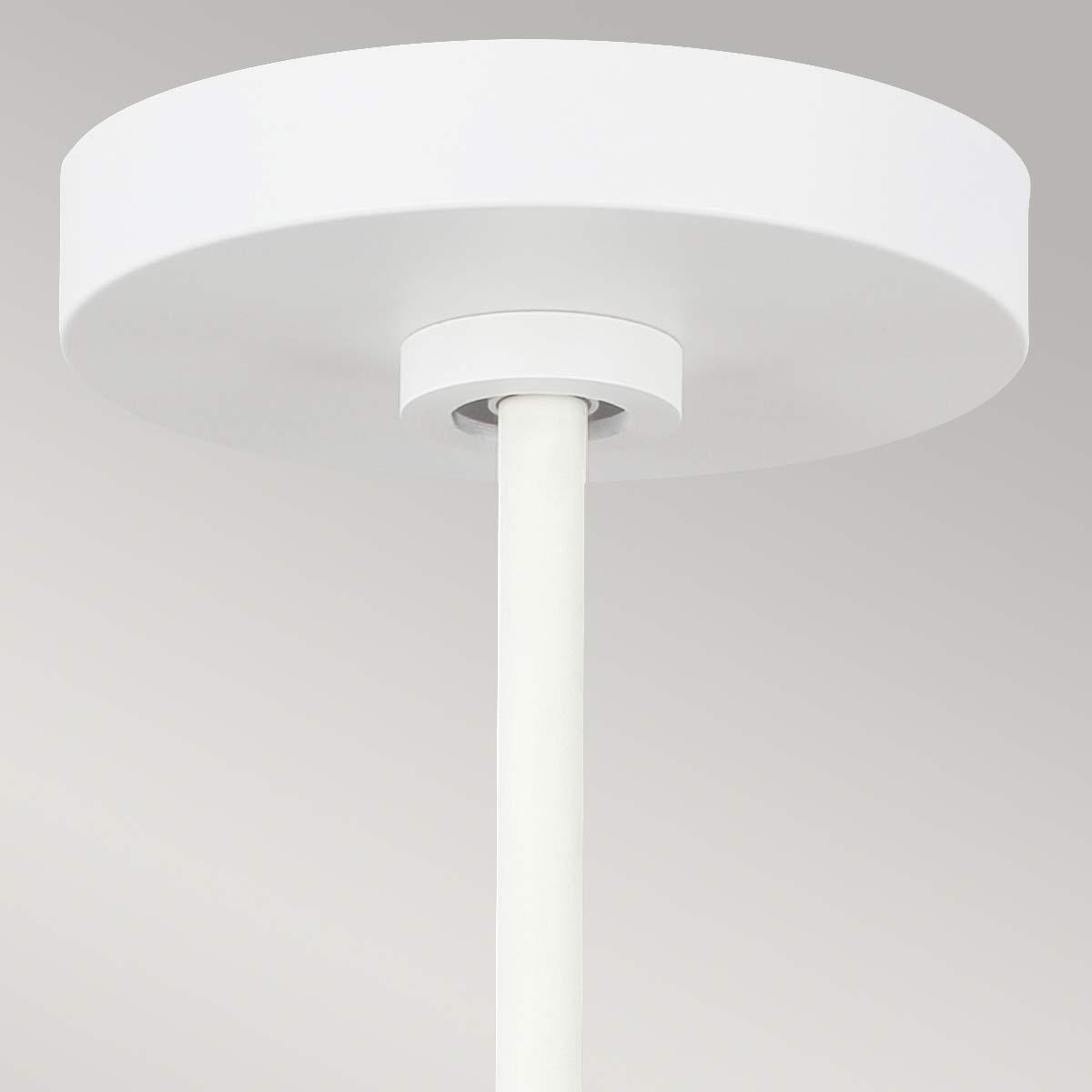 Elstead Lighting - FE-DARWIN-P - Feiss Pendant from the Darwin range. Darwin 1 Light Pendant Product Code = FE-DARWIN-P