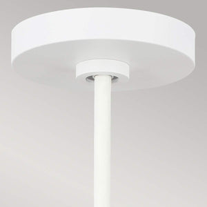 Elstead Lighting - FE-DARWIN-P - Feiss Pendant from the Darwin range. Darwin 1 Light Pendant Product Code = FE-DARWIN-P