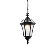 Endon Lighting - YG-3503 - Endon Lighting YG-3503 Drayton Outdoor Pendant Light Textured black & clear glass Dimmable