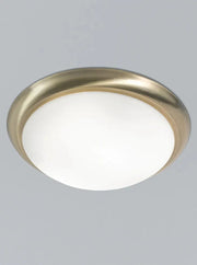 Franklite - CF5743 - Ceiling / Wall