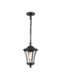 Franklite - EXT6645 - Pendant