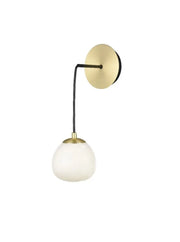 Franklite - FL2460-1 - Franklite FL2460-1 Ceiling / Wall Vermeer 1lt Pendant