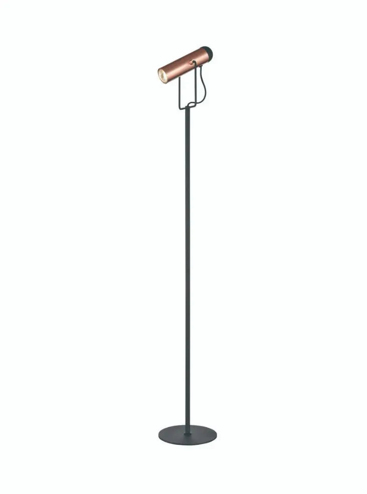 Franklite - SL252 - Franklite SL252 Modern Reading Floor Lamp