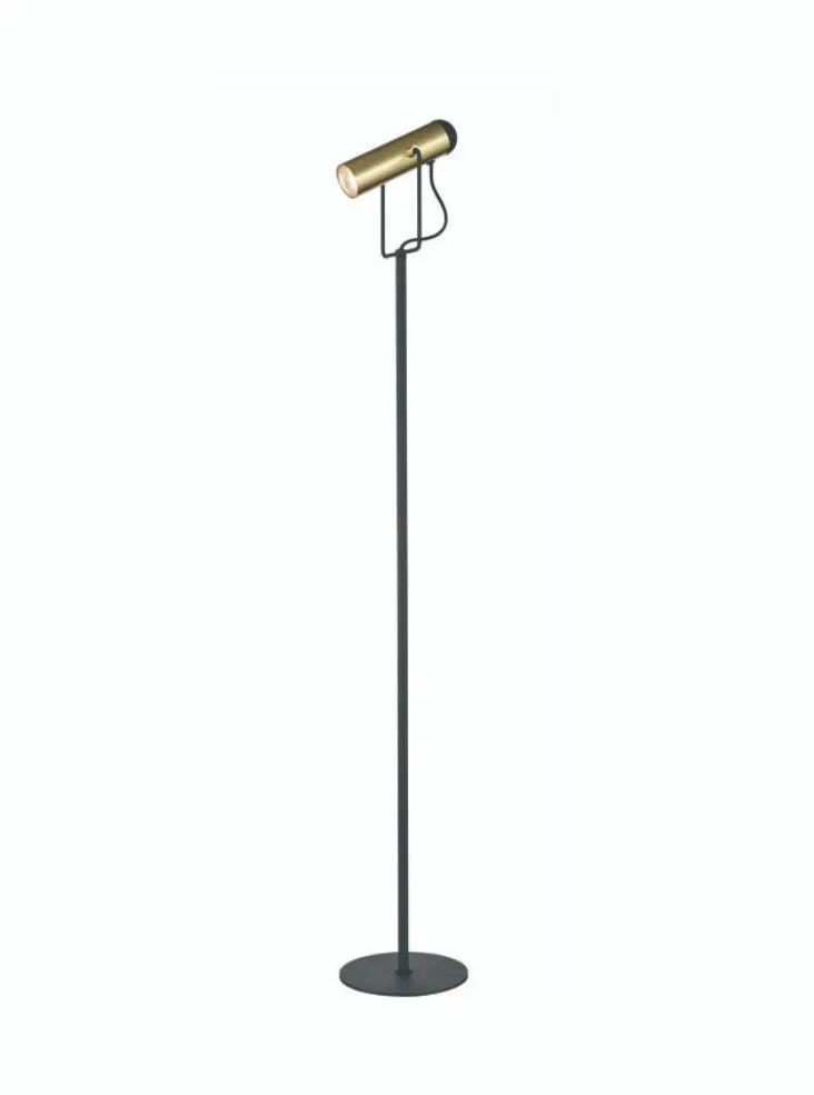 Franklite - SL253 - Standard Lamp