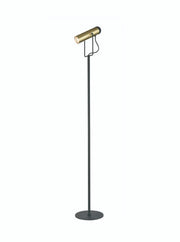 Franklite - SL253 - Standard Lamp