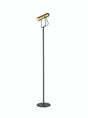 Franklite - SL253 - Franklite SL253 Modern Floor Reading Lamp