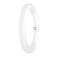 Ledvance - FL-CP-LCIR11/83/EM LDVC - Osram LED T9 Circular