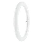 Ledvance - FL-CP-LCIR20/86/EM LEDV - Osram LED T9 Circular