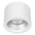 Luceco UK Limited - FL-CP-LDPS20W25MS40-05 LUC - LUCECO Surface Mounted Downlights