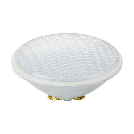 Schiefer Lighting - FL-CP-LPAR56/20/12/DL SCH - Schiefer Lighting L670023427 LED PAR56 20W 12V Screw 6500K 120Deg Schiefer EAN - 8718739071209