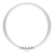 British Electric Lamps - FL-CP-CIR60T5/84 BEL - BELL Circular T5