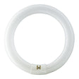 Crompton Lamps - FL-CP-CIR22/83 CRO - Crompton Lamps Crompton Lamps Circular 22W C830 8" Diameter T9 G10q G10q 3000K Warm White