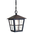 Elstead Lighting - BL48M-BLACK - Outdoor Hanging