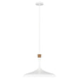 Elstead Lighting - FE-DARWIN-P - Feiss Pendant from the Darwin range. Darwin 1 Light Pendant Product Code = FE-DARWIN-P