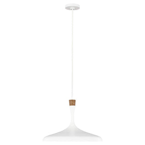 Elstead Lighting - FE-DARWIN-P - Feiss Pendant from the Darwin range. Darwin 1 Light Pendant Product Code = FE-DARWIN-P