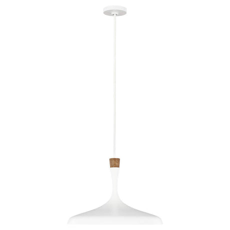 Elstead Lighting - FE-DARWIN-P - Feiss Pendant from the Darwin range. Darwin 1 Light Pendant Product Code = FE-DARWIN-P