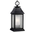 Elstead Lighting - FE-SHEPHERD-8L - Feiss Outdoor Hanging from the Shepherd range. Shepherd 1 Light Large Chain Lantern Product Code = FE-SHEPHERD-8L