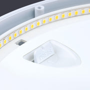 JCC Lighting - JC070178 - LED- Surface