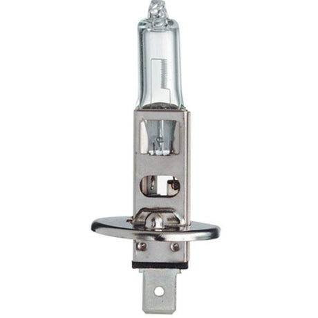 Osram - FL-CP-H1 12V OSR - Ledvance 64150 12V 55W P14.5s