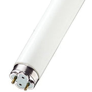 Philips - FL-CP-F36T8/86XTR PHI - Fluorescent T8 Tubes Philips