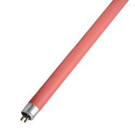 Schiefer Lighting - FL-CP-F14T5/R SCH - Schiefer Lighting 491420502 Fluorescent Tube T5 549mm 14W G5 Red Fluorescent Tubes Lamps