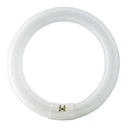 Sylvania - FL-CP-CIR32/84 SYL - Circular Tubes