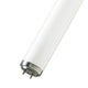 T12 Standard Fluorescent Tubes