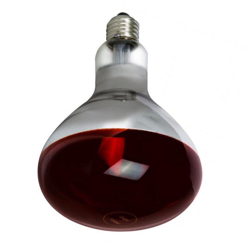 Sylvania - FL-CP-IR175ESHR SYL - Sylvania IR R125 240V 175W E27 Edison Screwed Cap Ruby